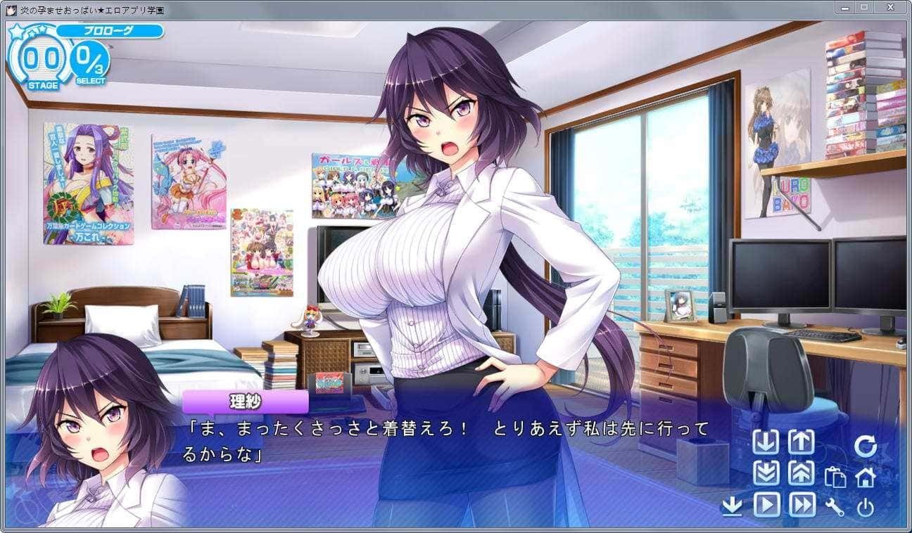 炎孕系列 版本内容 内容截图 1
